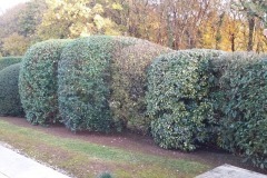 thumbs_20211112_170357