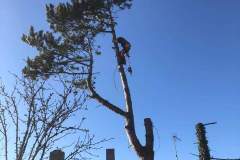 thumbs_received_1719218321814348