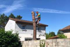 thumbs_received_2897369623847774