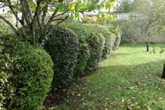 img-20231107-114038-65e20873d6998
