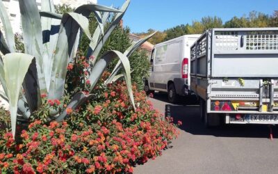 Création paysagère Fontclaireau : transformez votre espace extérieur en un havre de verdure