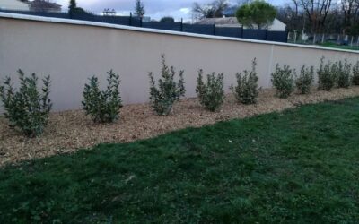 Paysagiste en Charente : Des travaux paysagers réalisés avec expertise